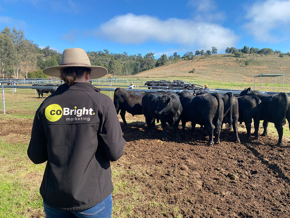 Caitlin wears a CoBright jacket in a paddock with a herd of cattle ready for sale