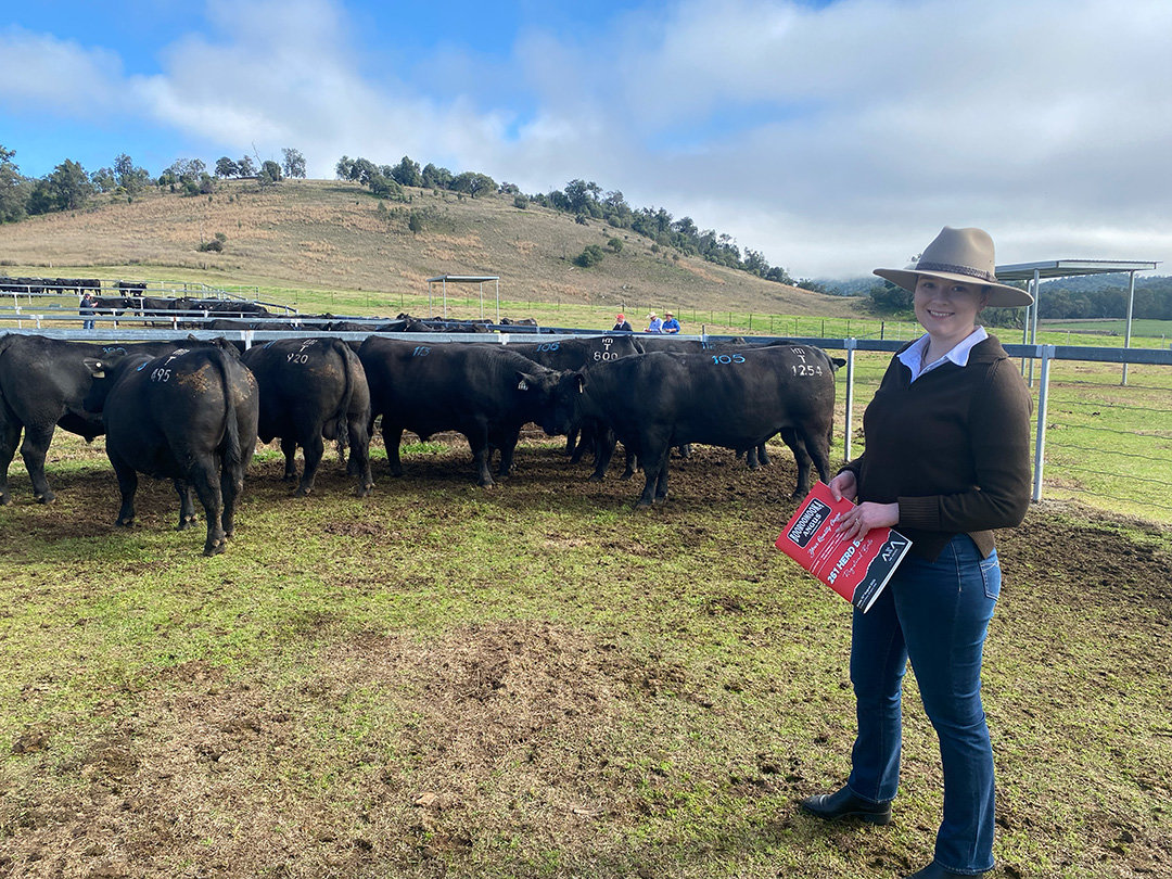 Caitlin is in a pen with a herd of bulls. She is holding the Booroomooka Angus Sale Catalogue.