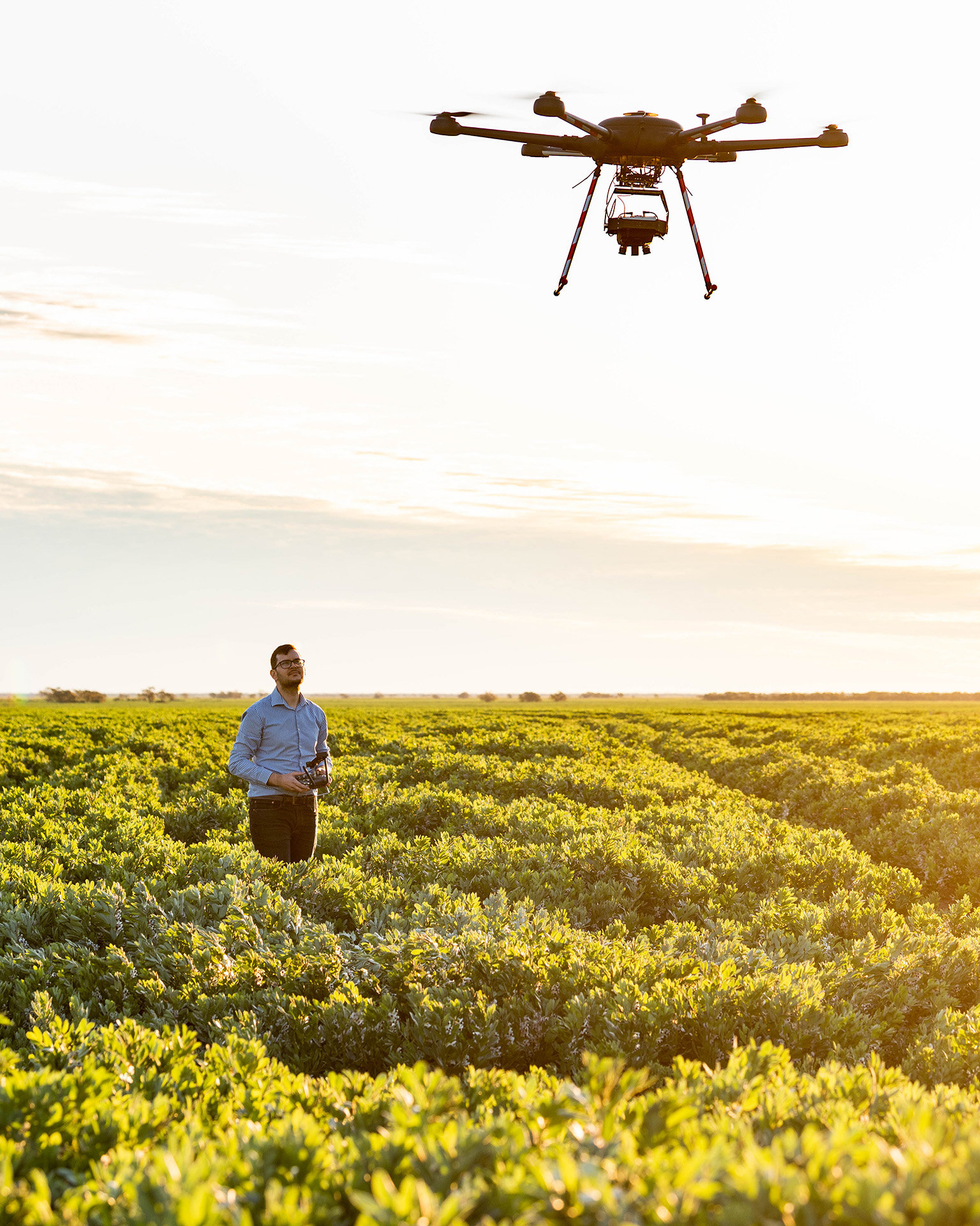 A man stands in a field flying a drone at early sunset