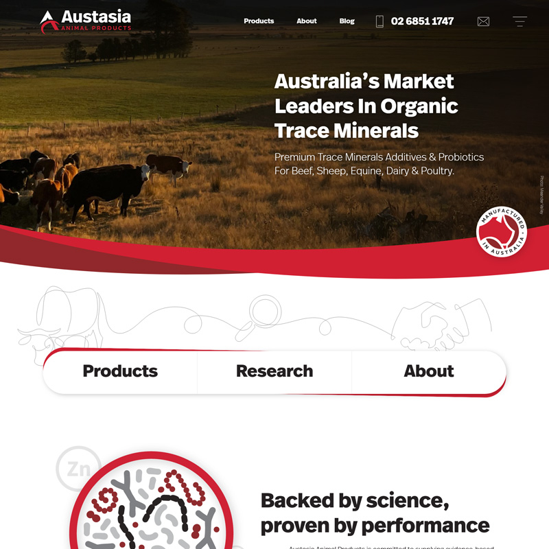 Screenshot of Austasia Website homepage